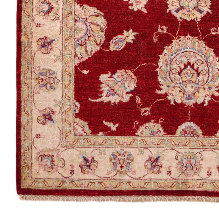 Detail image of 4' x 6' 2 Hand Knotted Ariana Ziegler Rug