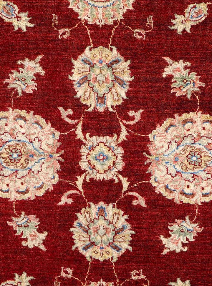 4' x 6' 2 Hand Knotted Ariana Ziegler Rug