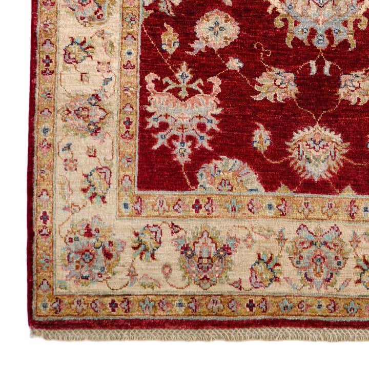 4' 1 x 6' 1 Hand Knotted Ariana Ziegler Rug