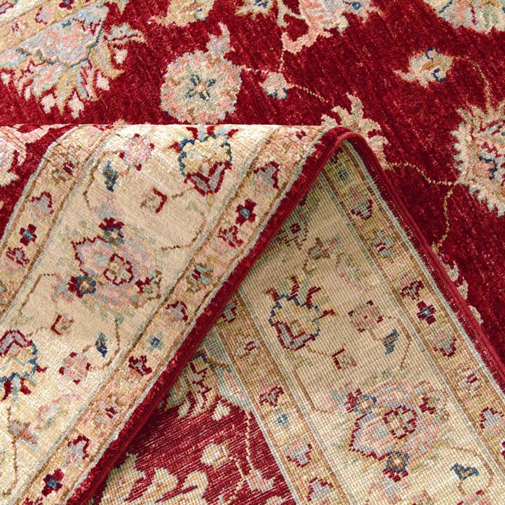 4' 1 x 6' 1 Hand Knotted Ariana Ziegler Rug