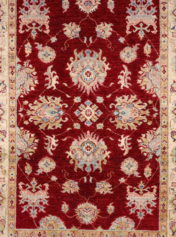 4' 1 x 6' 1 Hand Knotted Ariana Ziegler Rug