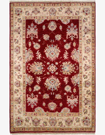 4' 1 x 6' 1 Hand Knotted Ariana Ziegler Rug
