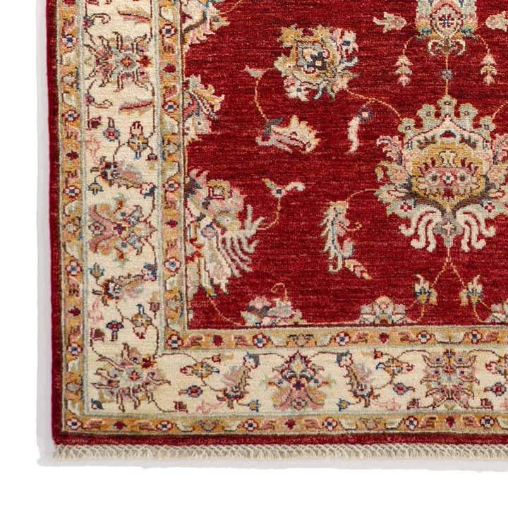 4' x 5' 10 Hand Knotted Ariana Ziegler Rug