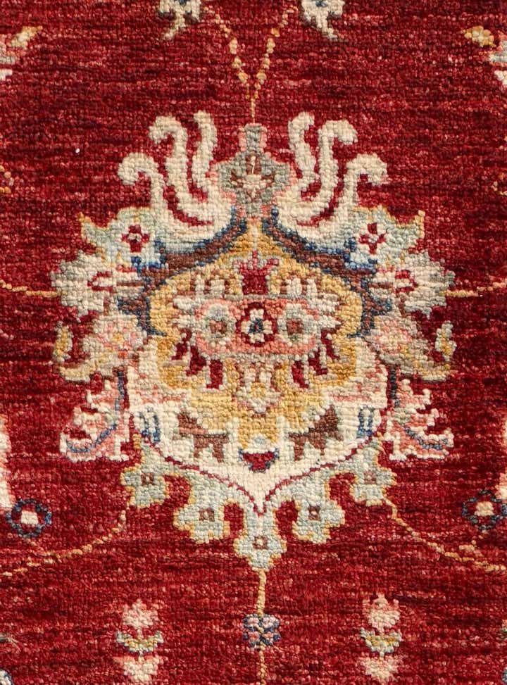 4' x 5' 10 Hand Knotted Ariana Ziegler Rug