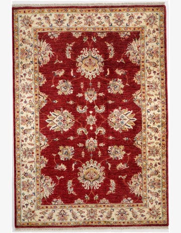 4' x 5' 10 Hand Knotted Ariana Ziegler Rug