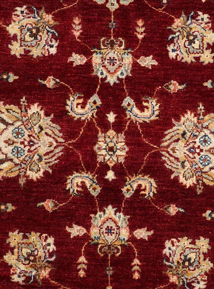 4' x 6' 3 Hand Knotted Ariana Ziegler Rug