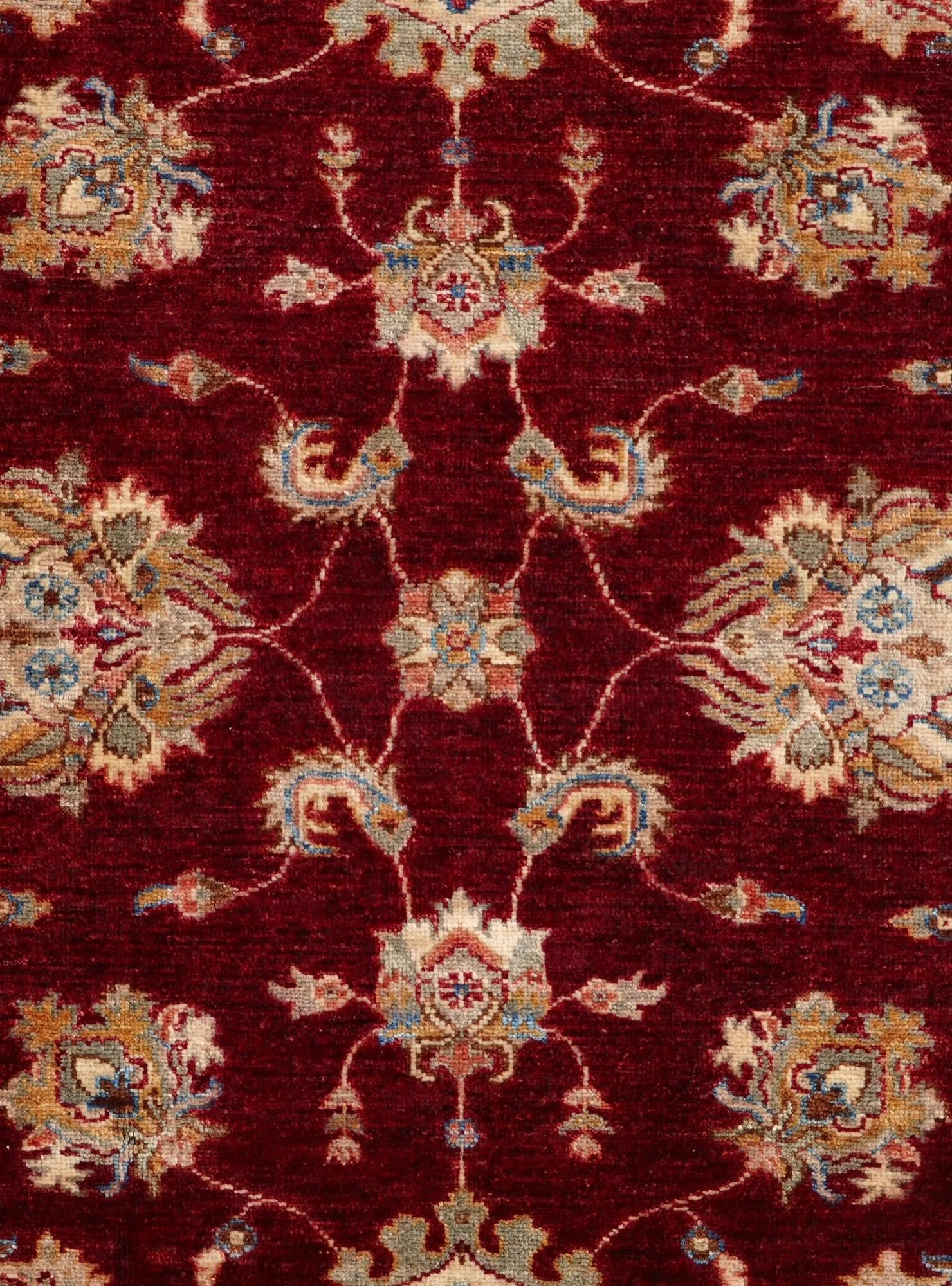 4' 3 x 6' Hand Knotted Ariana Ziegler Rug