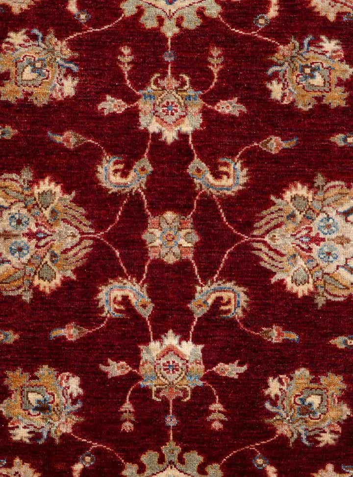 4' 3 x 6' Hand Knotted Ariana Ziegler Rug