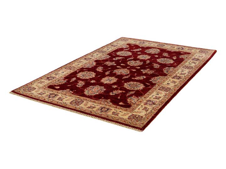 4' 1 x 6' 8 Hand Knotted Ariana Ziegler Rug