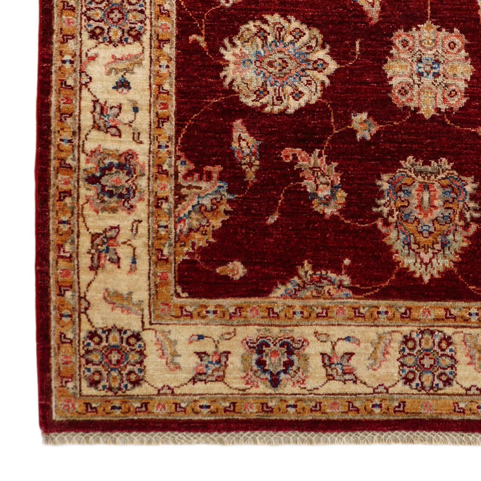 4' 1 x 6' 8 Hand Knotted Ariana Ziegler Rug