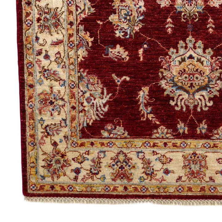 4' 2 x 6' 7 Hand Knotted Ariana Ziegler Rug