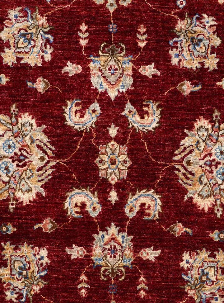 4' 2 x 6' 7 Hand Knotted Ariana Ziegler Rug