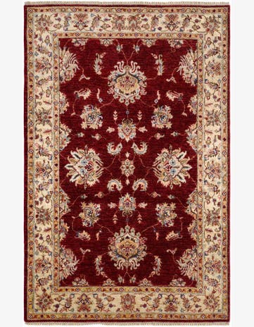 4' 2 x 6' 7 Hand Knotted Ariana Ziegler Rug