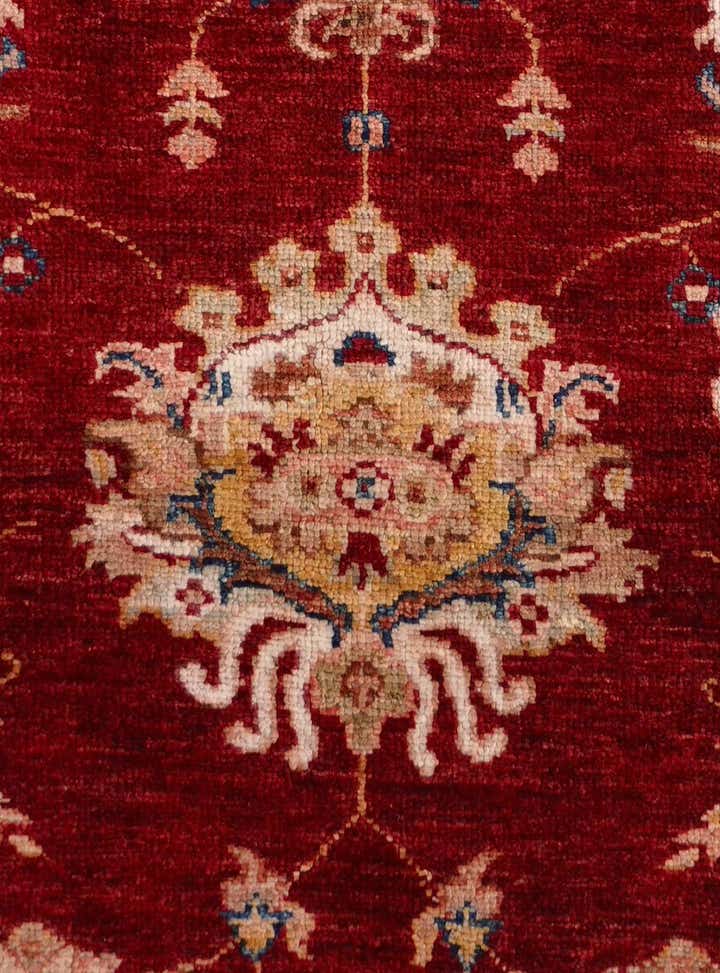 4' 1 x 6' Hand Knotted Ariana Ziegler Rug