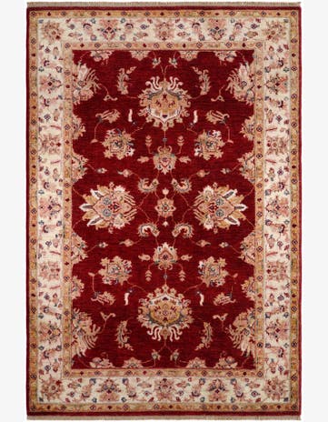 4' 1 x 6' Hand Knotted Ariana Ziegler Rug