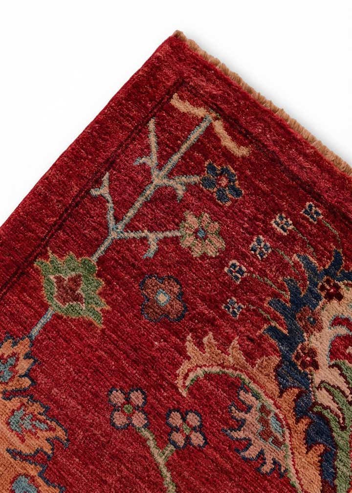 4' 2 x 6' 2 Hand Knotted Ariana Ziegler Rug