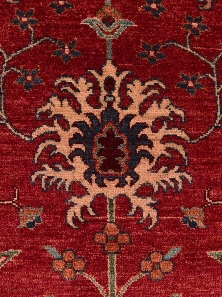 4' 2 x 6' 2 Hand Knotted Ariana Ziegler Rug