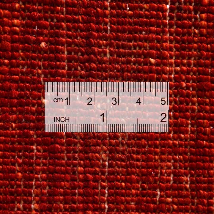 5' 1 x 6' 6 Hand Knotted Ariana Ziegler Rug