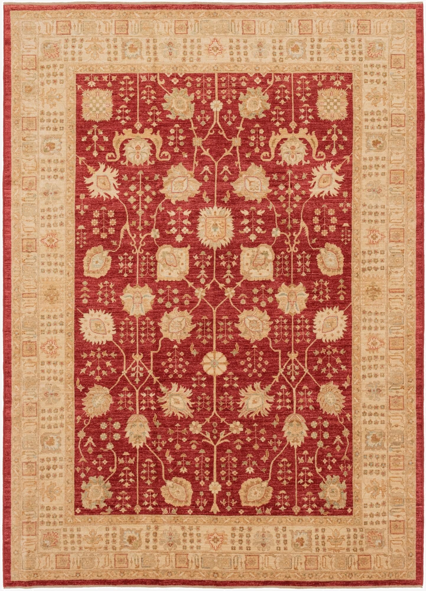 8' 5 x 11' 7  Hand Knotted Ariana Ziegler Rug