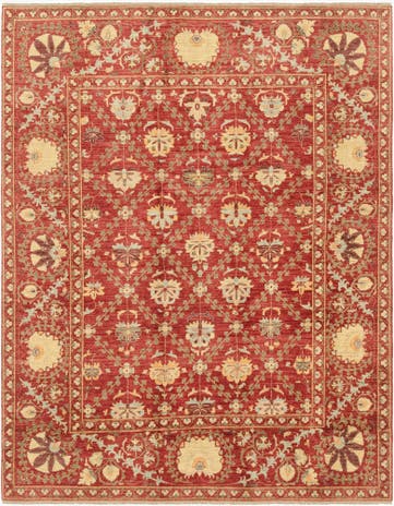6' 7 x 8' 4 Hand Knotted Ariana Ziegler Oriental Rug