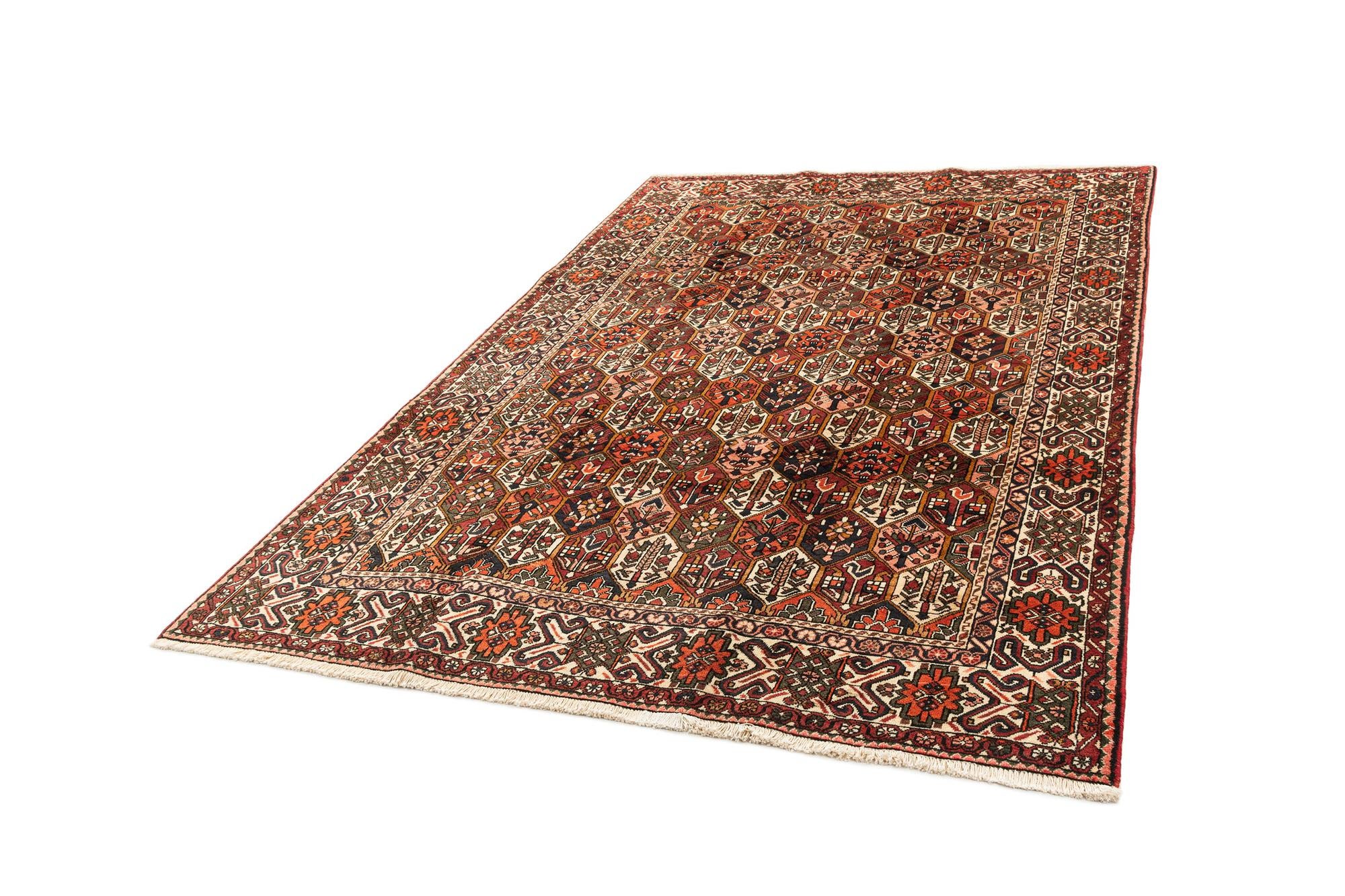 6' 11 x 10' 7 Bachtiar Rug