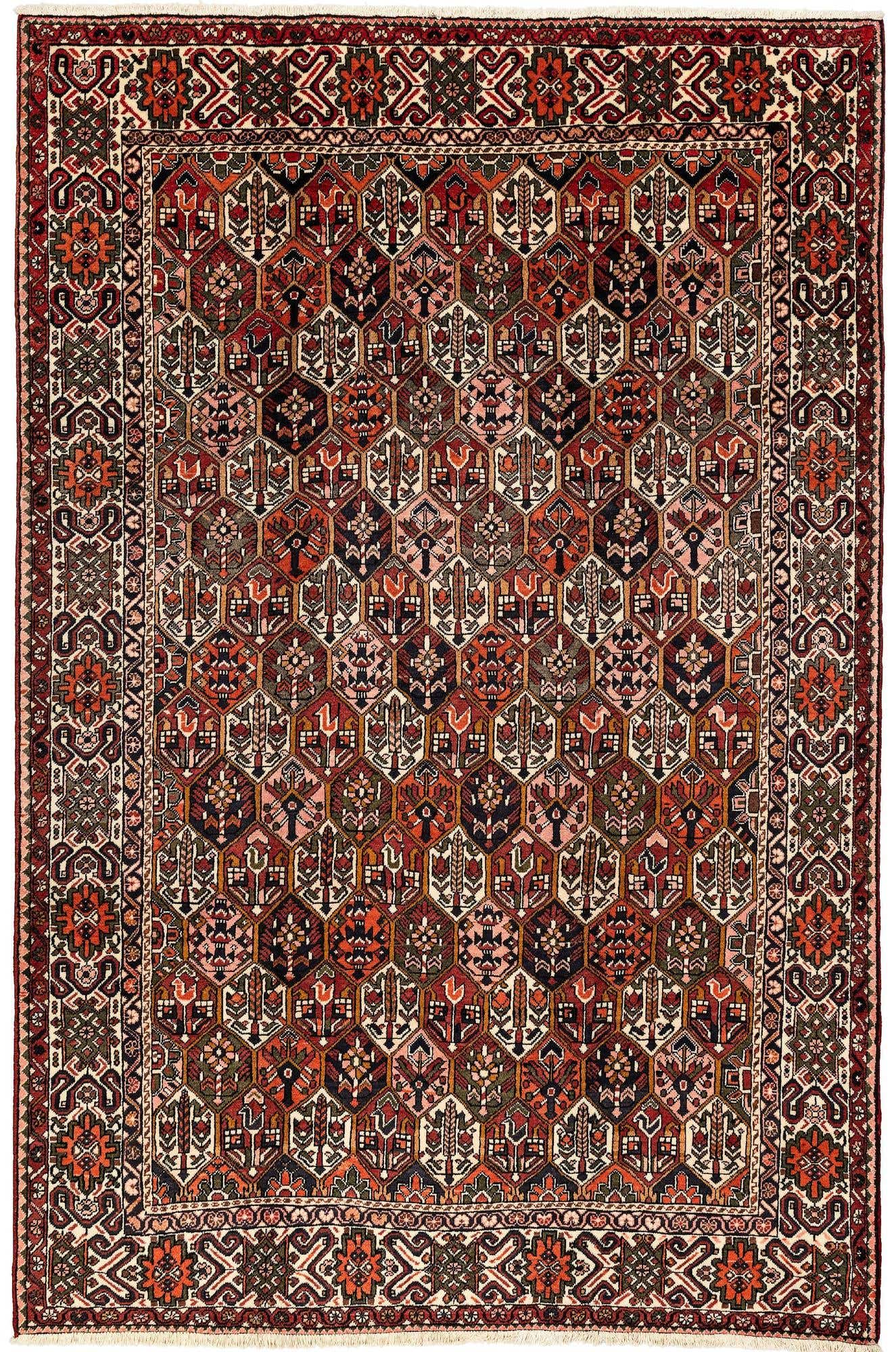 6' 11 x 10' 7 Bachtiar Rug