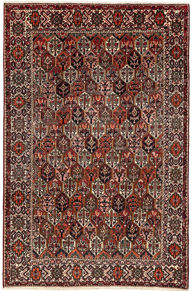 6' 11 x 10' 7 Bachtiar Rug