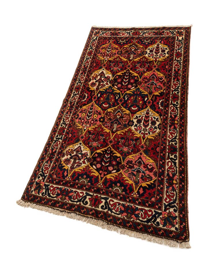 Detail image of 4' 9 x 6' 9 Bachtiar Rug