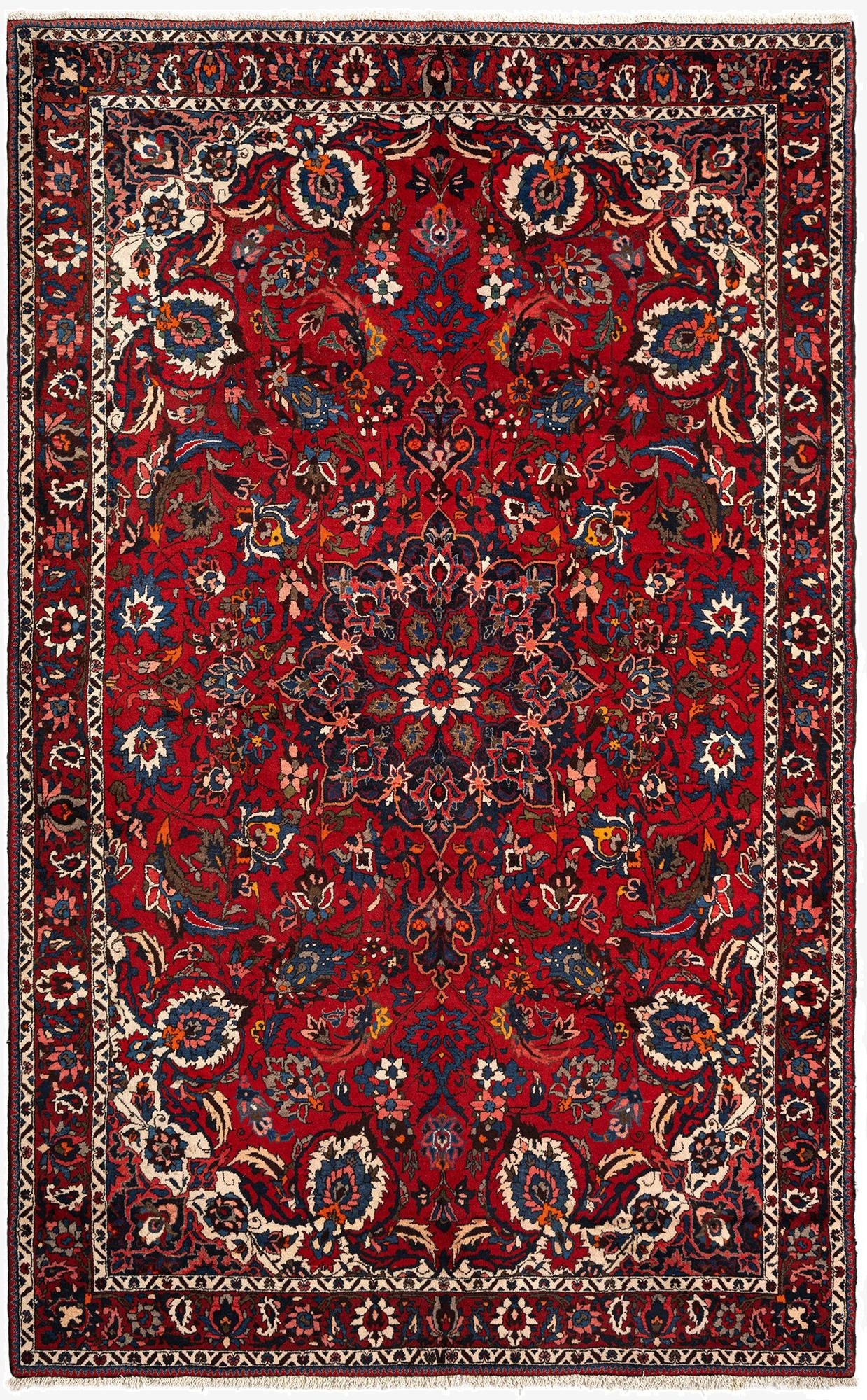 6' 10 x 11' 2 Bachtiar Wool Rug