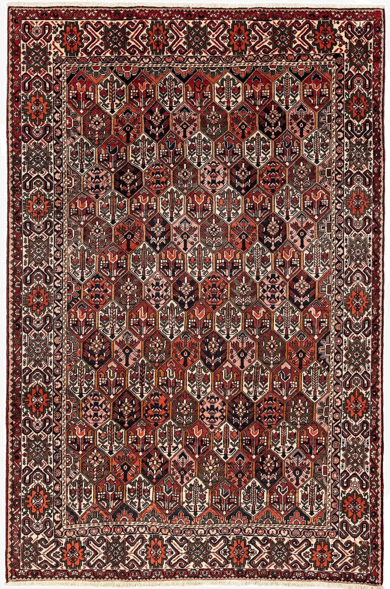 6' 11 x 10' 7 Bachtiar Rug