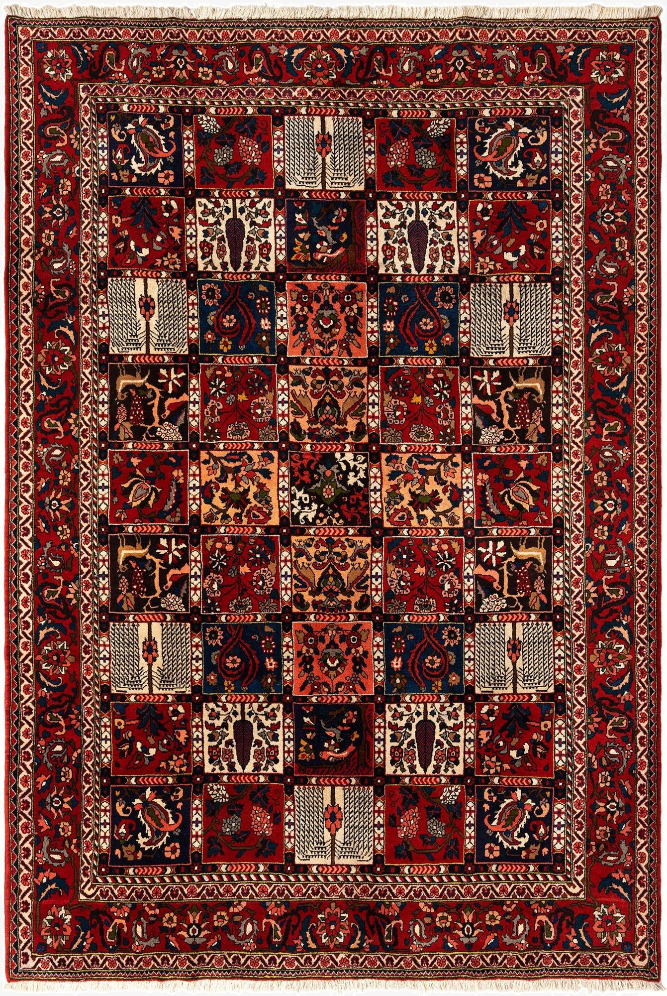6' 9 x 9' 9 Bachtiar Wool Rug
