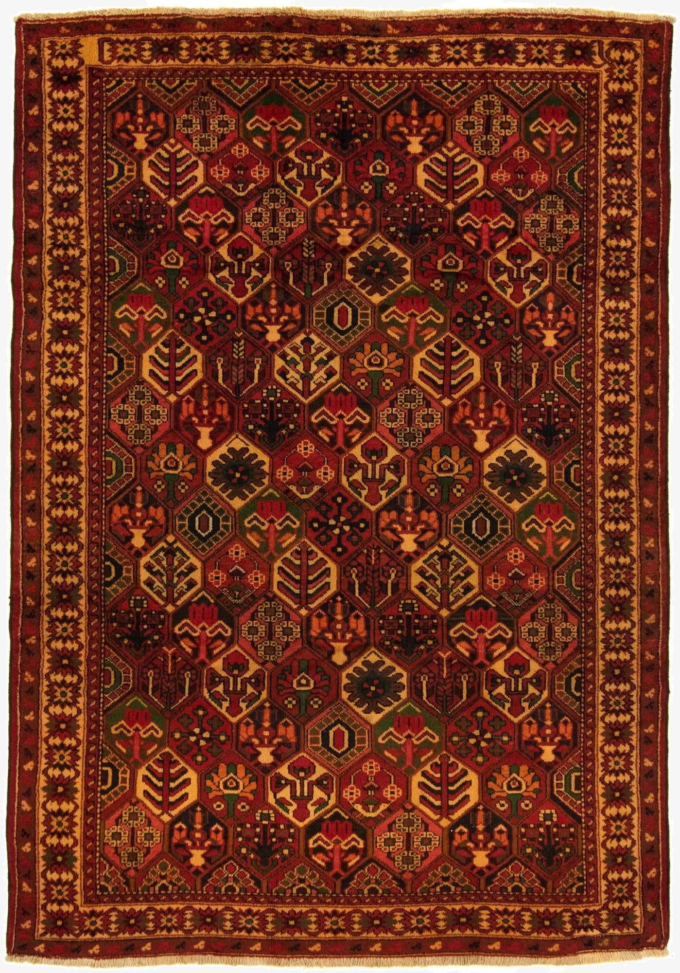 6' 6 x 9' 9  Hand Knotted Bachtiar Persian Wool Rug