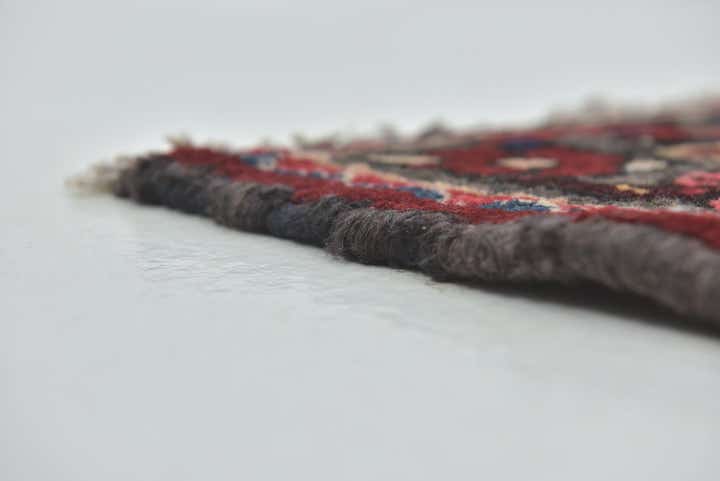 8' 6 x 11' 9 Hand Knotted Bakhtiar Persian Wool Rug