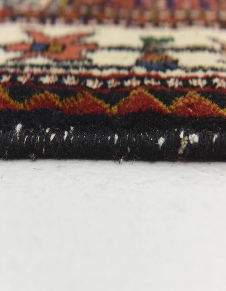 Detail image of 6' 10 x 10' Hand Knotted Bakhtiar Wool Rug