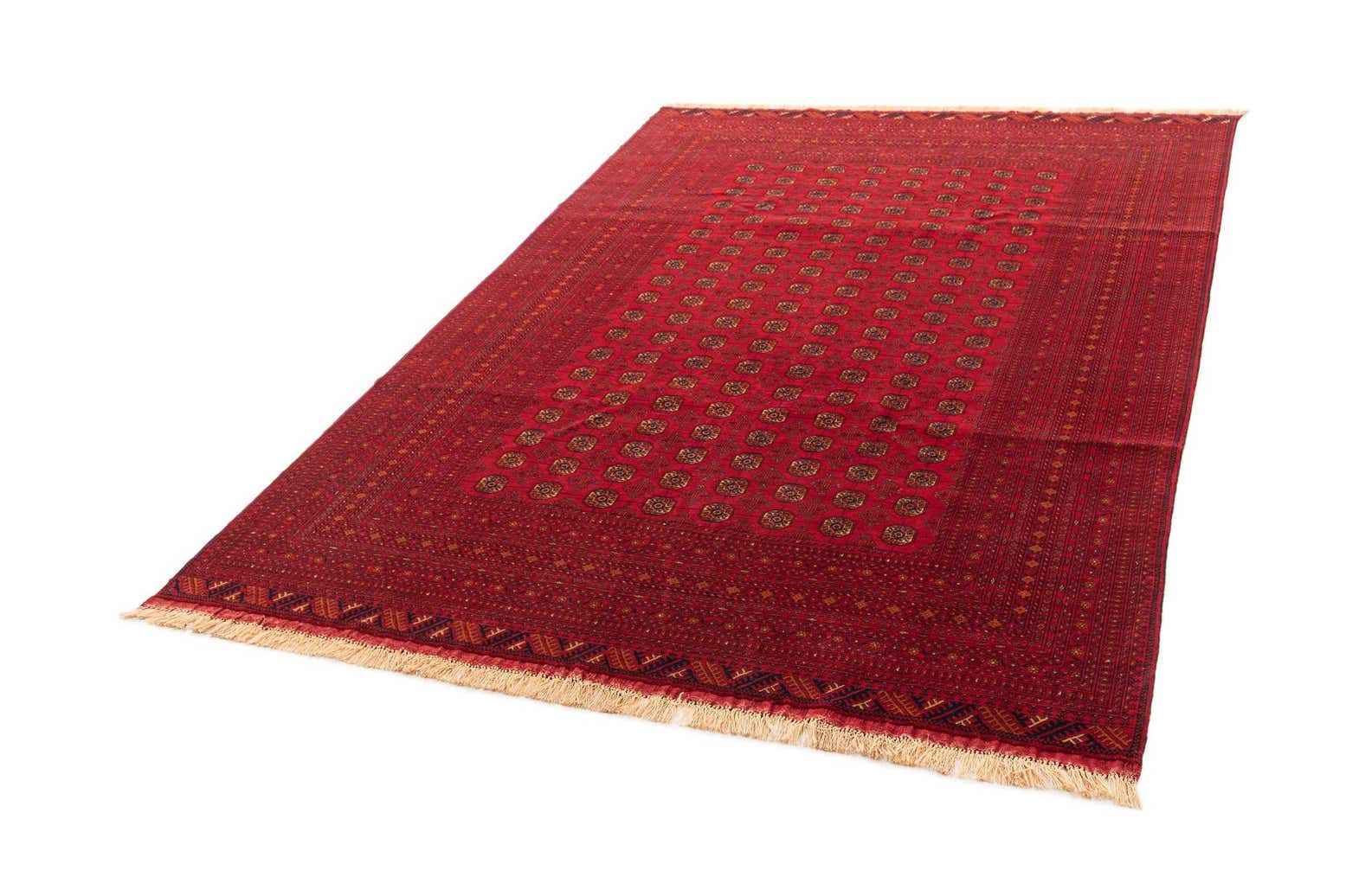 6' 8 x 9' 11 Barmacid on Silk Rug