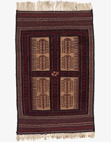 3' 1 x 4' 11 Beloutsch Rug