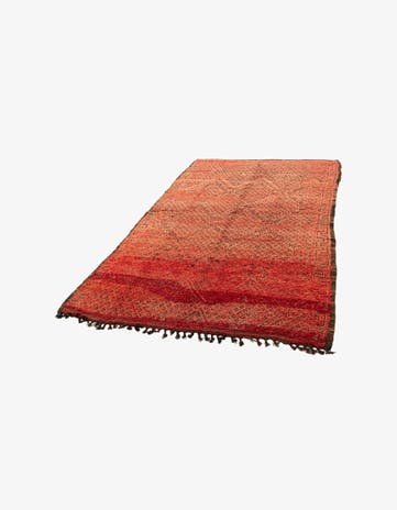 5' 9 x 9' 10 Berber Rug