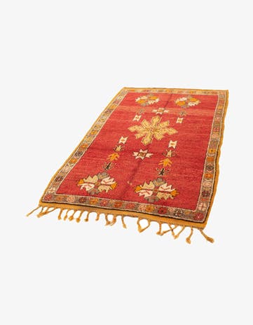 3' 9 x 6' 8 Berber Rug