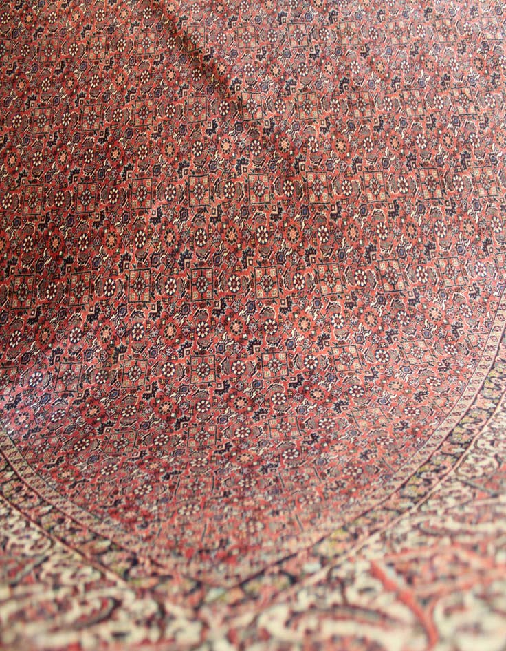 Detail image of 6' 7 x 9' 10  Hand Knotted Bidjar Persian Wool Rug