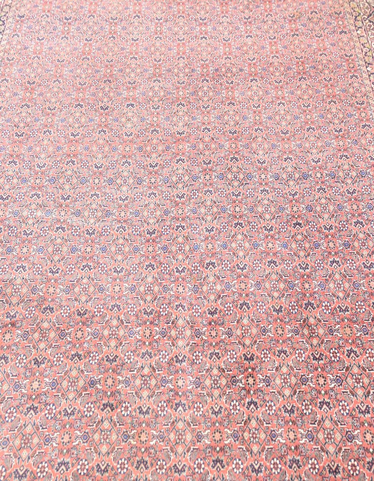 Detail image of 6' 7 x 9' 10  Hand Knotted Bidjar Persian Wool Rug