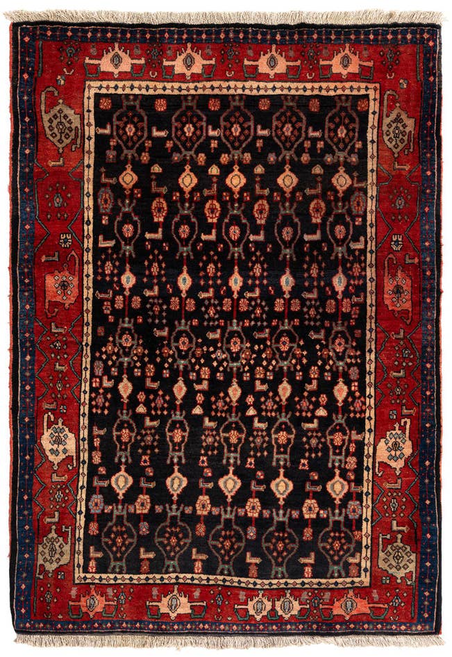 Detail image of 4' 5 x 6' 4 Bidjar Rug