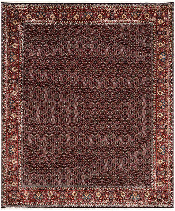 8' 5 x 10' Bidjar Wool Rug