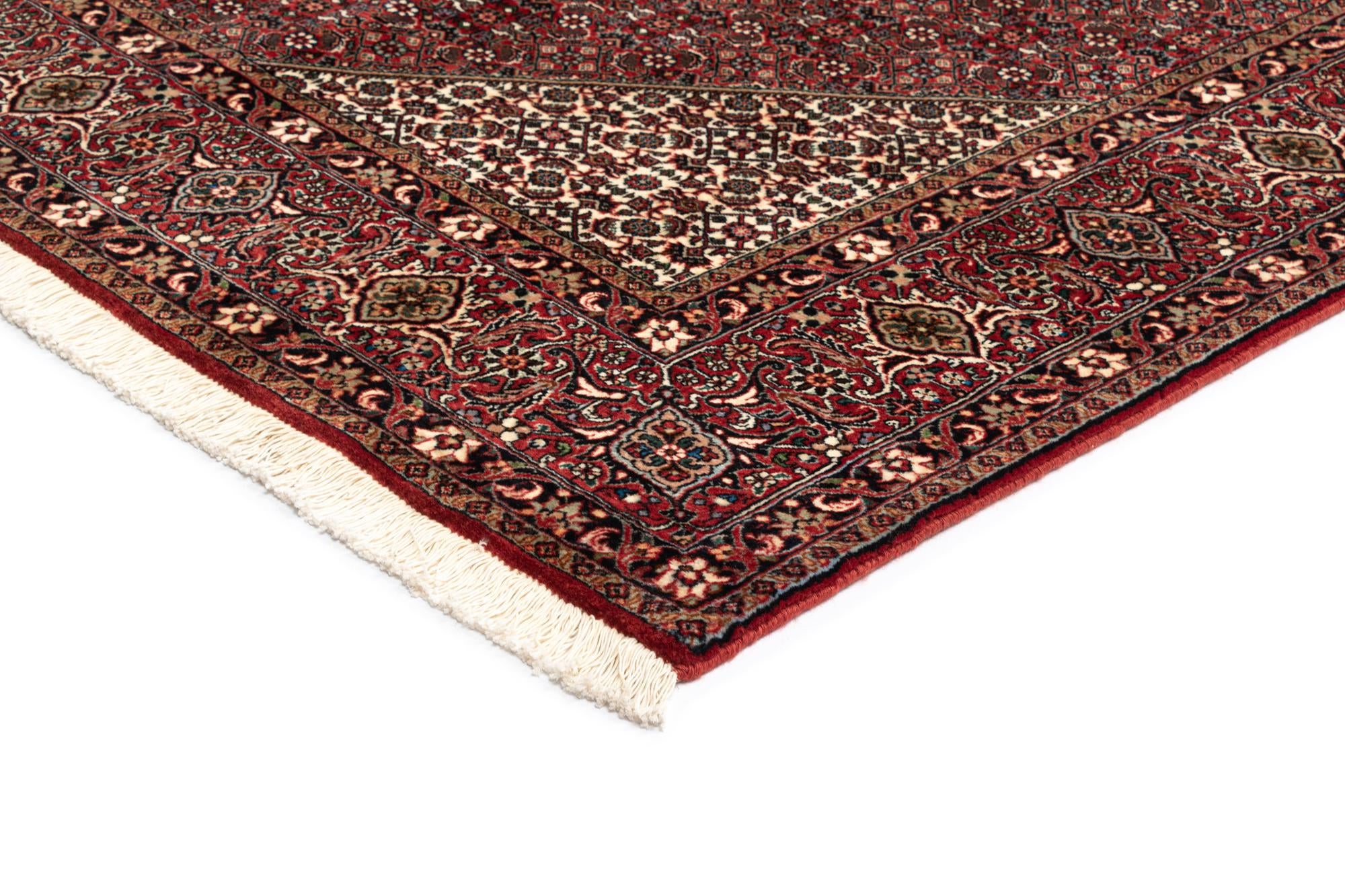 8' 3 x 11' 11 Bidjar Wool Rug