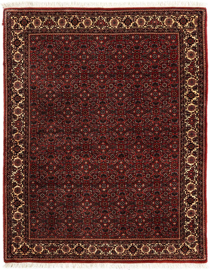 Detail image of 3' 7 x 5' 11 Bidjar Wool Rug
