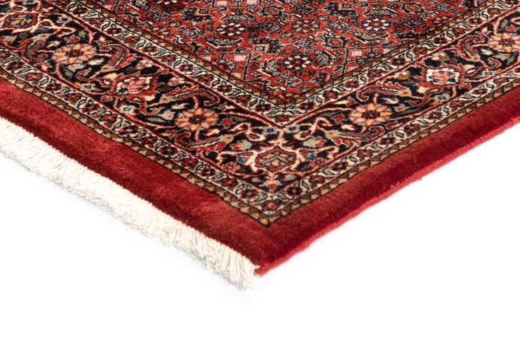 Detail image of 3' 10 x 5' 9 Bidjar Wool Rug