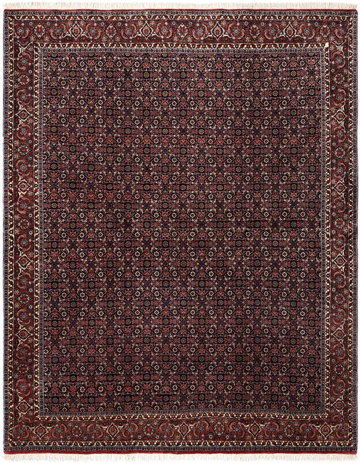 Detail image of 6' 9 x 8' 3 Bidjar Wool Rug