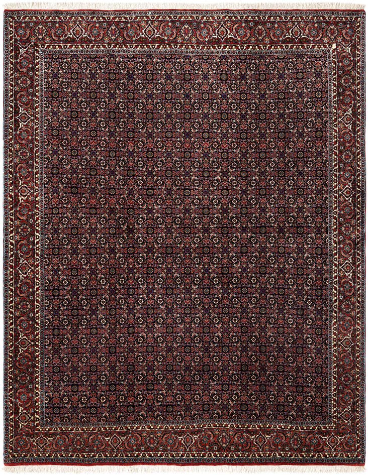 Detailansicht von 205cm x 250cm Bidjar Wolle Teppich