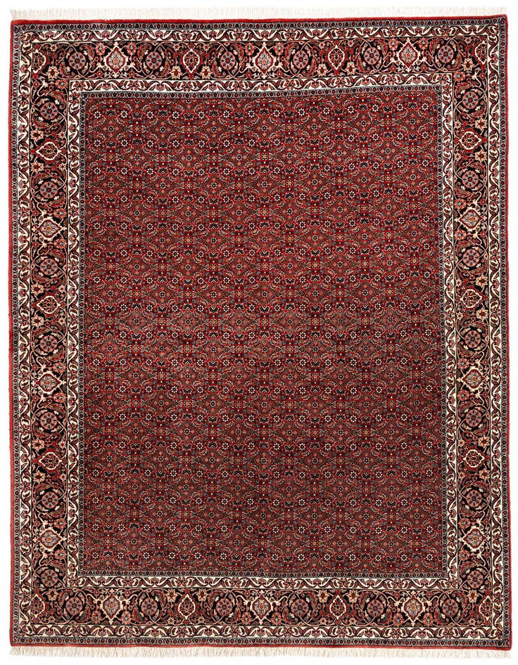 Detail image of 6' 6 x 8' 3 Bidjar Wool Rug