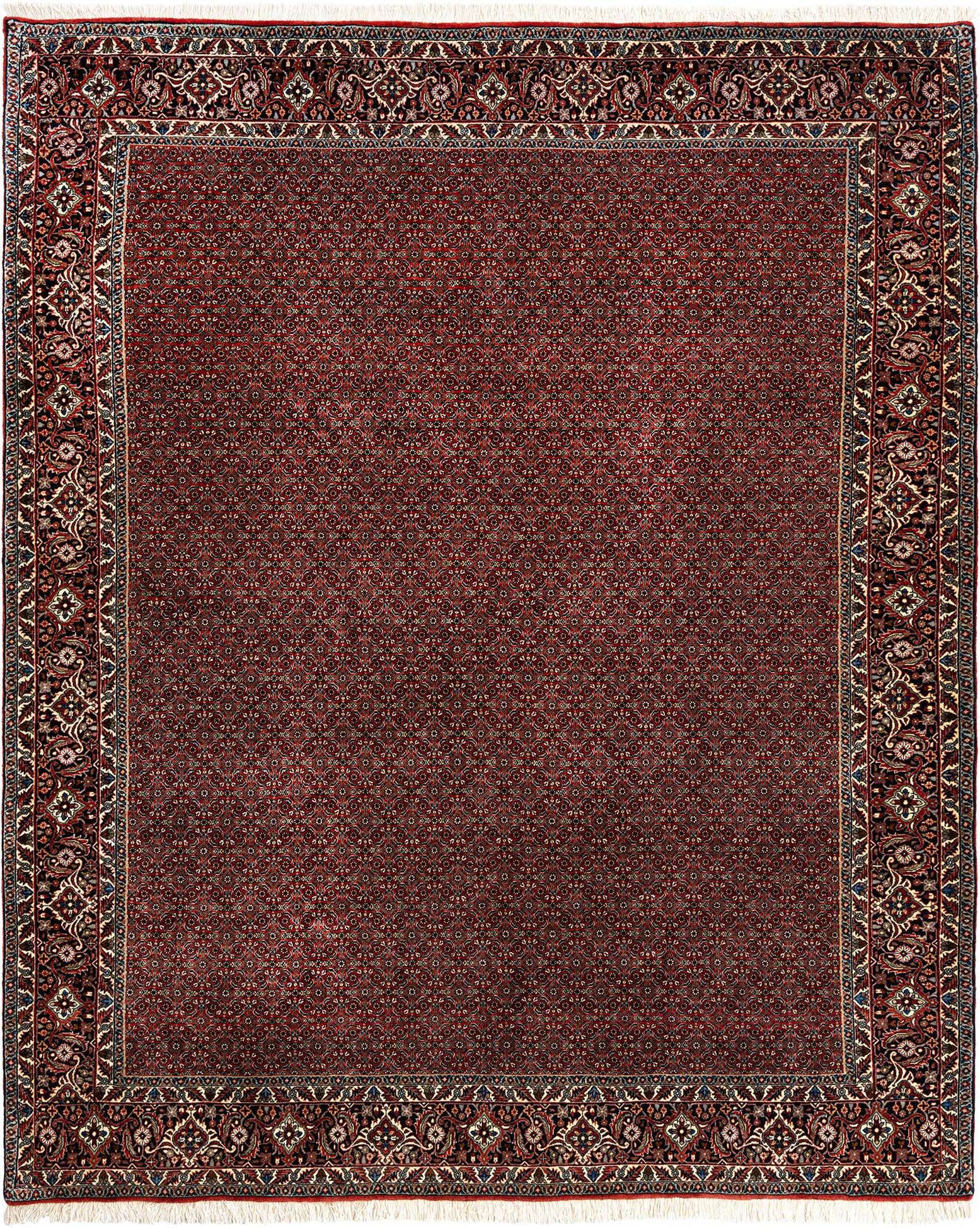 6' 7 x 8' Bidjar Wool Rug