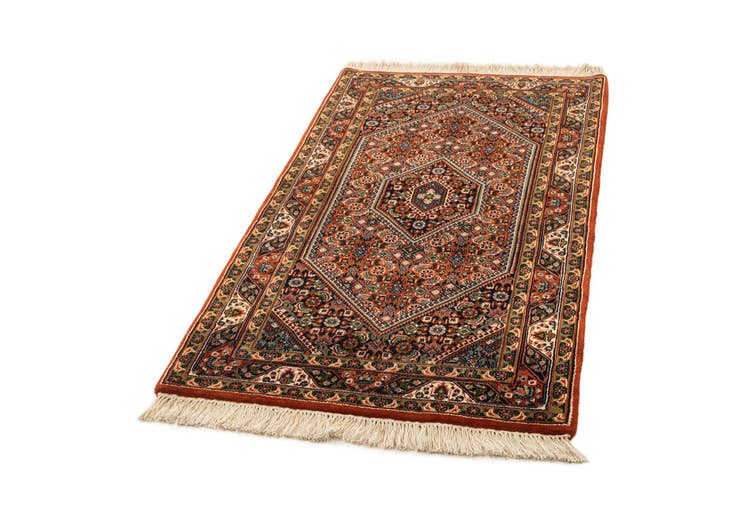 Detail image of 2' 11 x 5' 5 Bidjar Rug